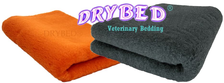 Drybed Premium Blanc