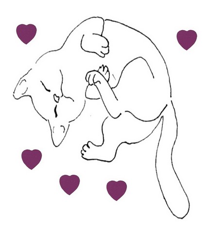 Drybed ® pour chats