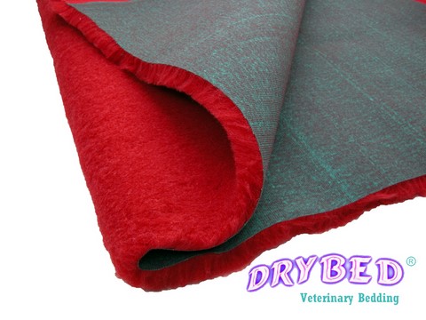 Dos d'un tapis Drybed® PREMIUM