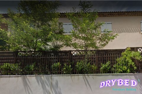 Disvar - Drybed® - Marchandetapis.fr